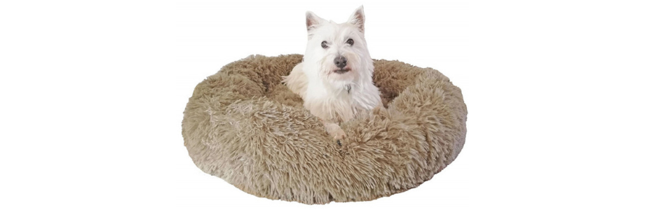Hund im Hundebett