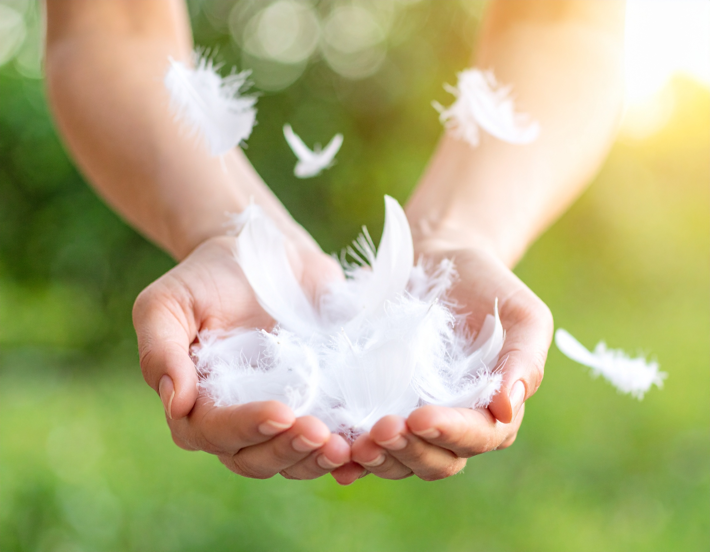 Auch für Hausstaubmilben-Allergiker